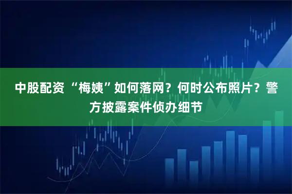 中股配资 “梅姨”如何落网？何时公布照片？警方披露案件侦办细节