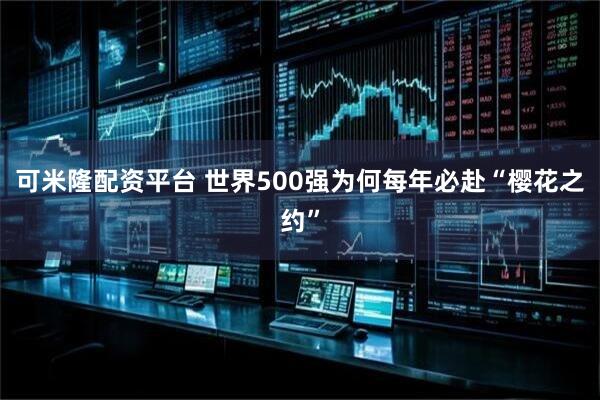 可米隆配资平台 世界500强为何每年必赴“樱花之约”