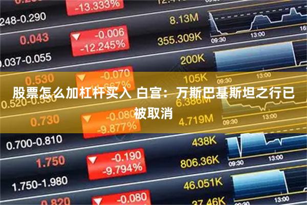 股票怎么加杠杆买入 白宫:万斯巴基斯坦之行已被取消