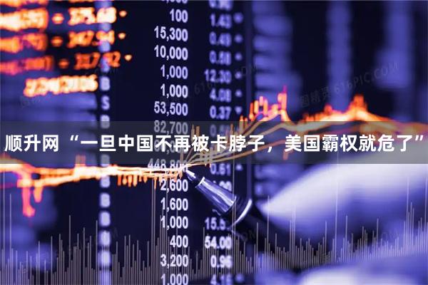 顺升网 “一旦中国不再被卡脖子，美国霸权就危了”